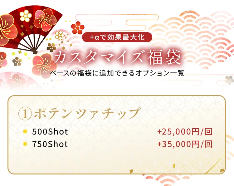 カスタマイズ福袋-ポテンツァチップ